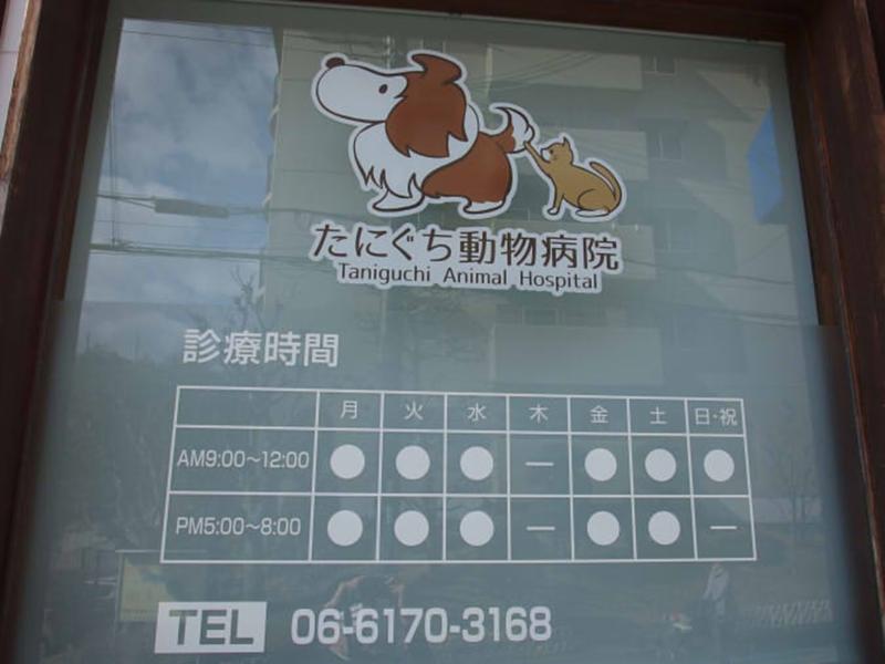 たにぐち動物病院のアルバイト・バイト求人情報-04