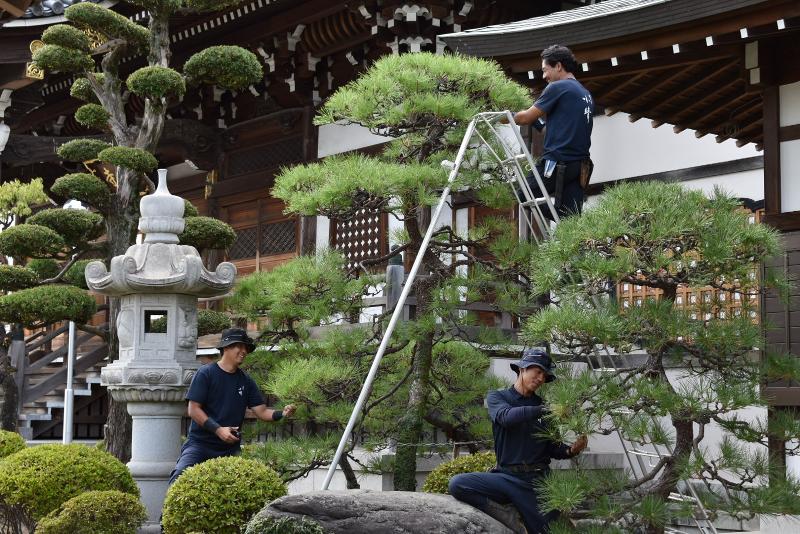 株式会社小晴の求人・転職情報