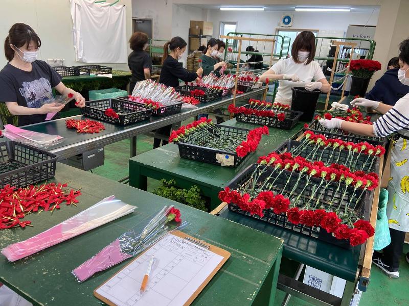 (株)花茂のアルバイト・バイト求人情報-03