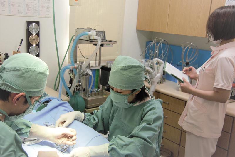 株式会社てらい動物病院の求人・転職情報-05