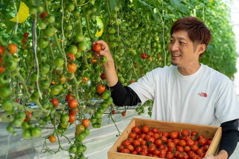 近藤農園のアルバイト・バイト求人情報-03