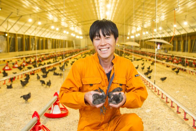 (株)関西ファームの求人・転職情報