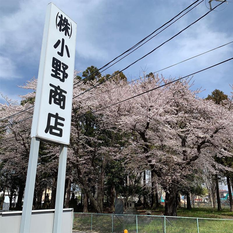 株式会社小野商店の求人・転職情報