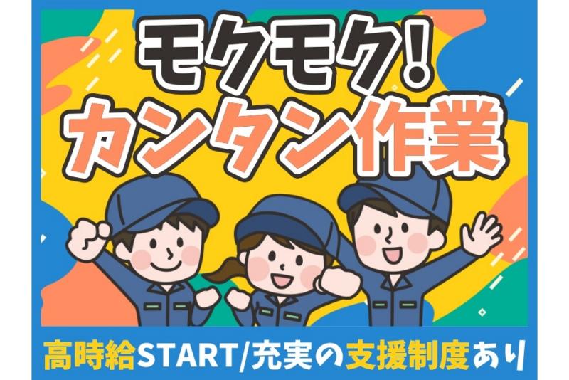 株式会社アルミラの派遣求人情報