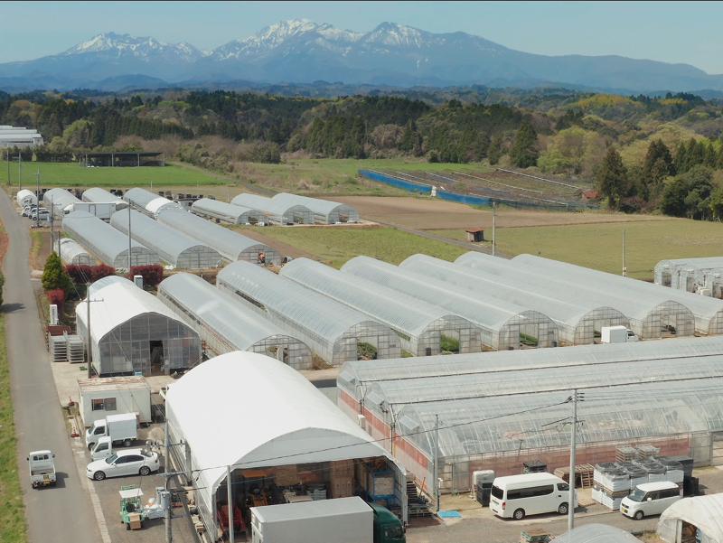 有限会社村岡オーガニックのアルバイト・バイト求人情報-02