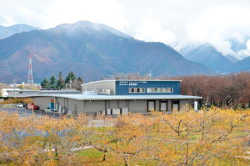 株式会社フレッシュベジ加工 の求人・転職情報