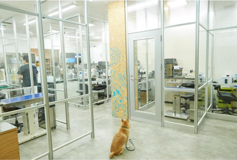 関内どうぶつクリニック(VCA Japan 合同会社)のアルバイト・バイト求人情報-03