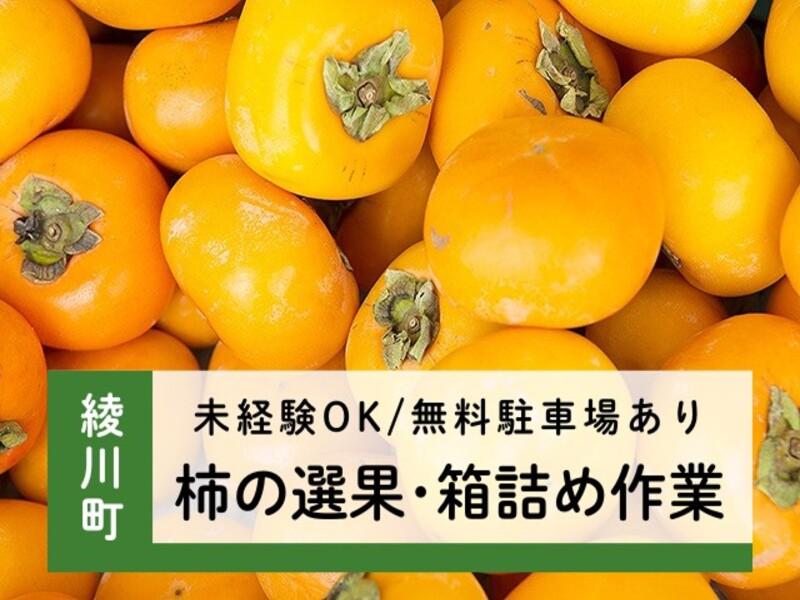 アビリティーセンター株式会社　高松オフィス