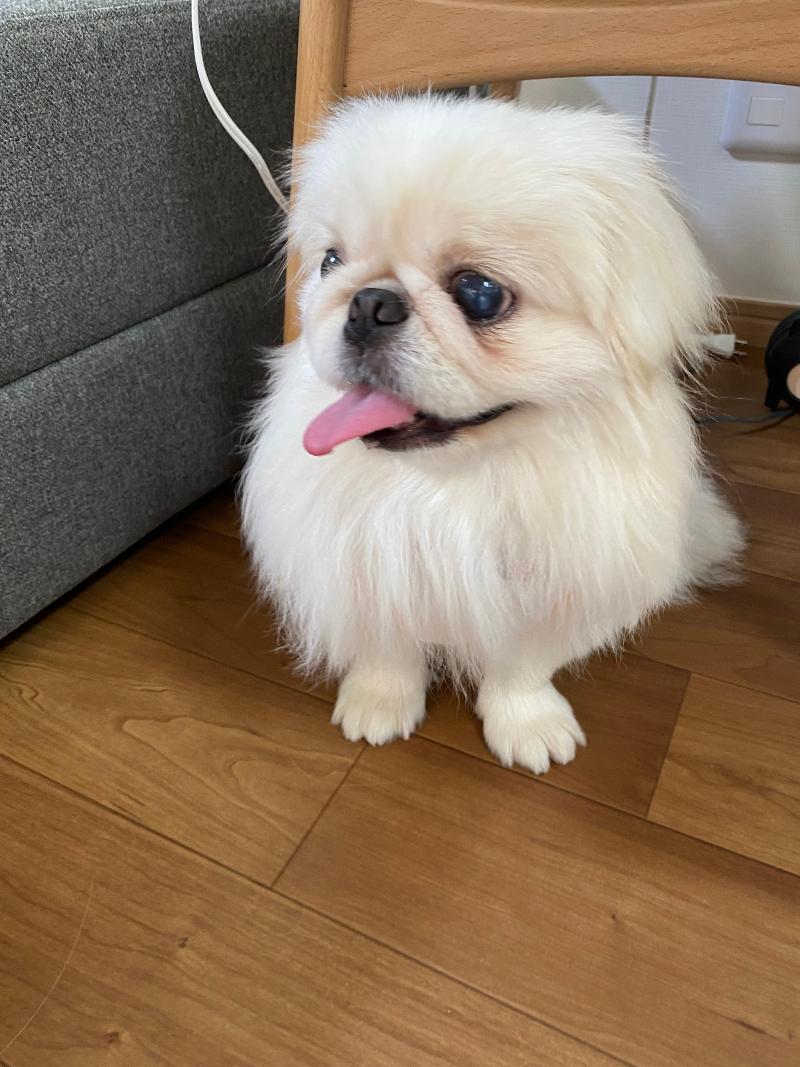 株式会社よしみケアのアルバイト・バイト求人情報-02