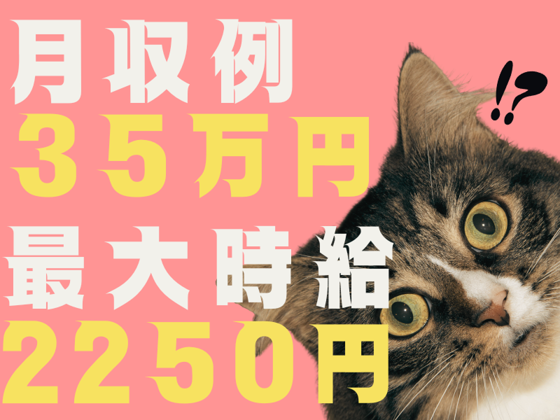 株式会社ワールドインテックのアルバイト・バイト求人情報-02