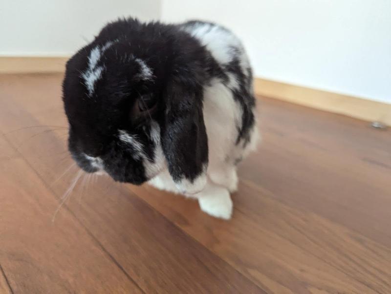 合同会社Naturalplayのアルバイト・バイト求人情報-04