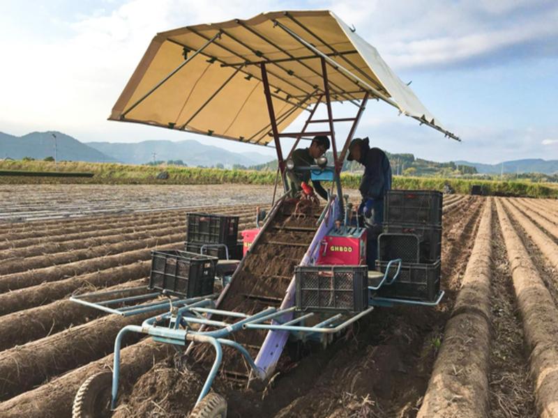 株式会社くしまアオイファームのアルバイト・バイト求人情報-07