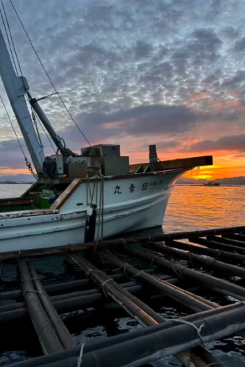 吉完水産のアルバイト・バイト求人情報-03