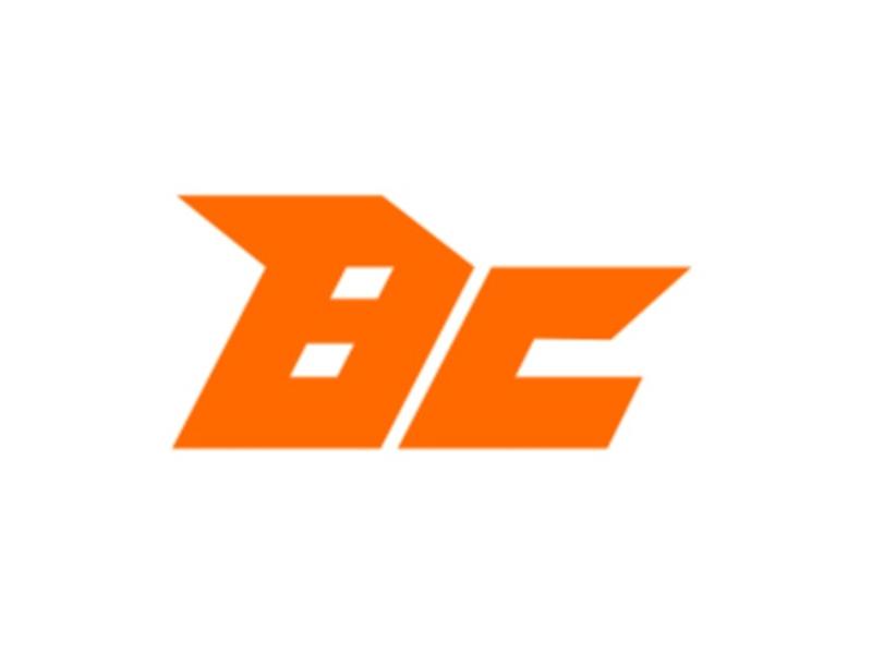 株式会社ＢＵＤＤＩＣＡの求人・転職情報