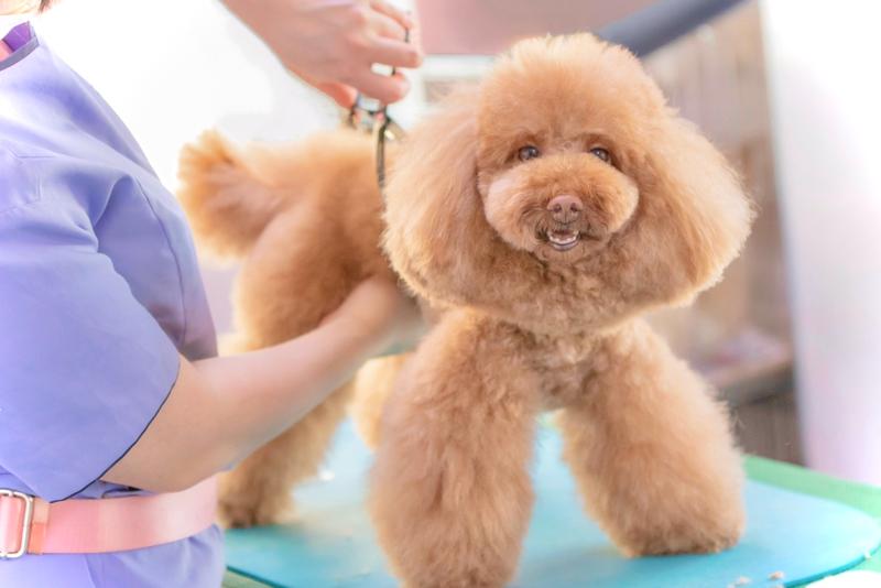 (株)サムAHパートナーズのアルバイト・バイト求人情報-03