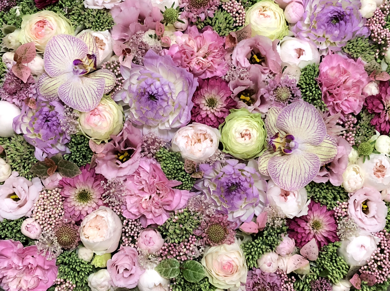 株式会社BALANCEの求人・転職情報