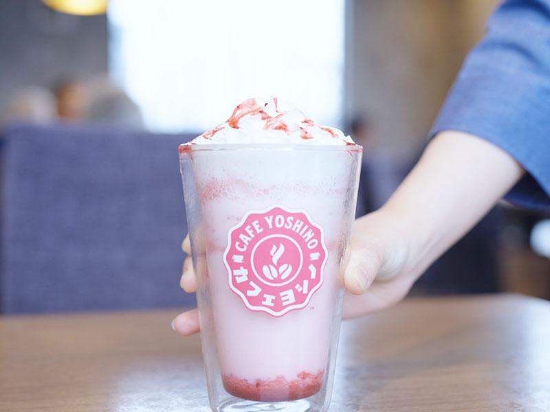 CAFE YOSHINO -カフェヨシノ- ロースタリーのアルバイト・バイト求人情報-03