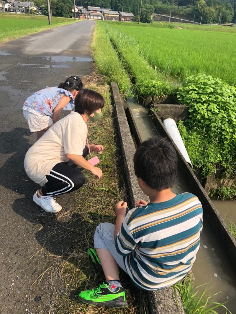 NPOさくらプラスのアルバイト・バイト求人情報-04