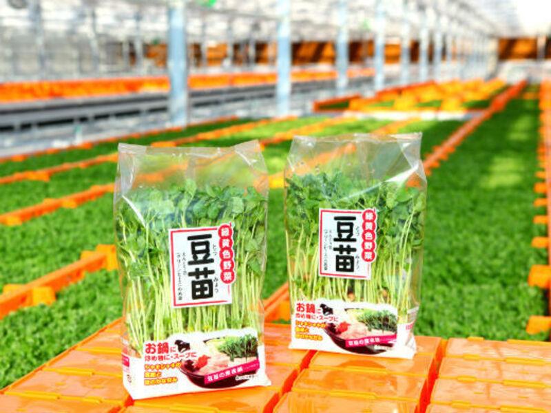 株式会社村上農園のアルバイト・バイト求人情報-01