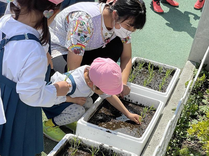 学校法人小金井学園 こでまり保育園のアルバイト・バイト求人情報-02