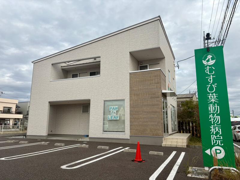 株式会社MAH むすび葉動物病院の求人・転職情報