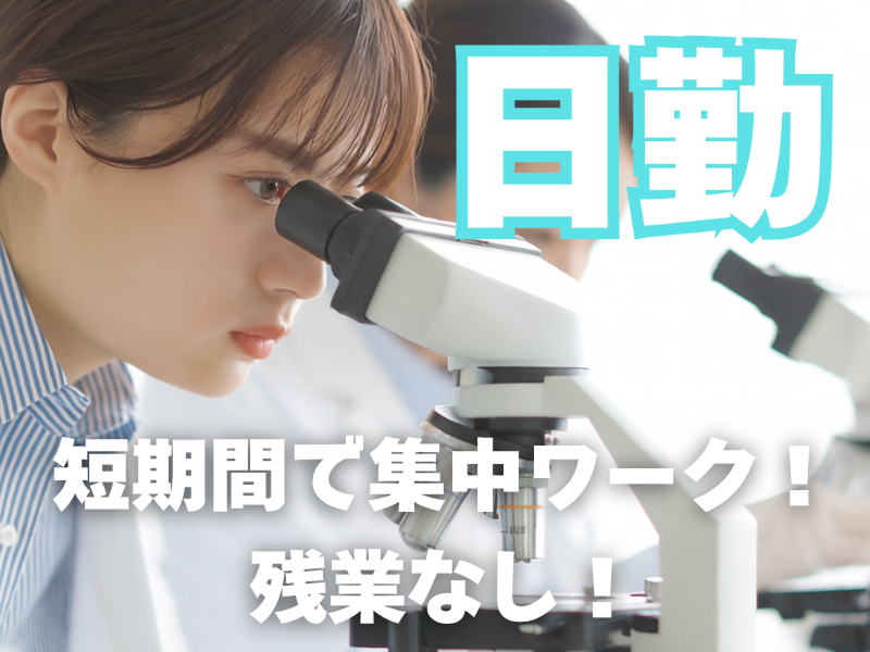 株式会社ワールドインテック