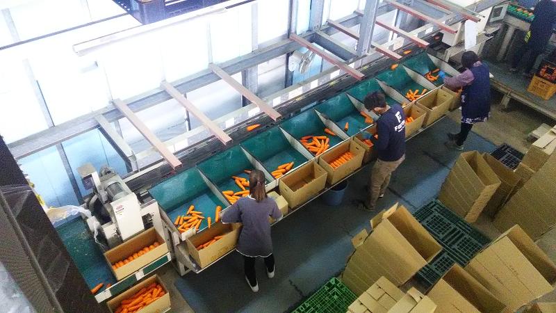 株式会社ファームのアルバイト・バイト求人情報-02