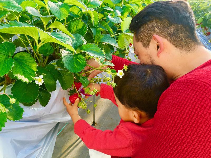 愛成株式会社のアルバイト・バイト求人情報-05