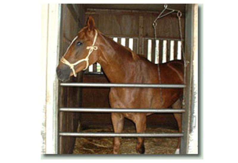 株式会社シマダ 美浦事業所のアルバイト・バイト求人情報-03