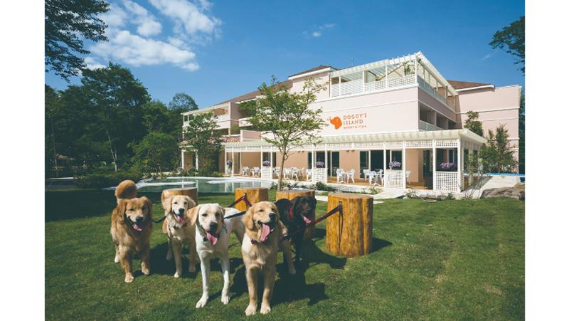 小谷流の里ドギーズアイランドの求人・転職情報