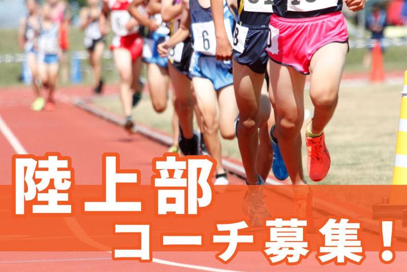 株式会社サクシードの求人・転職情報