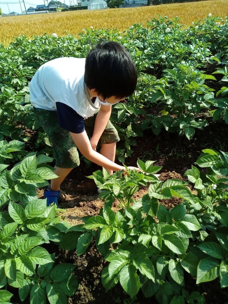 一般社団法人まんまる結びの求人・転職情報