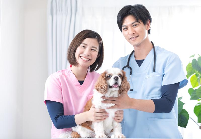 Withmalホールディングス株式会社/有明動物病院の求人・転職情報