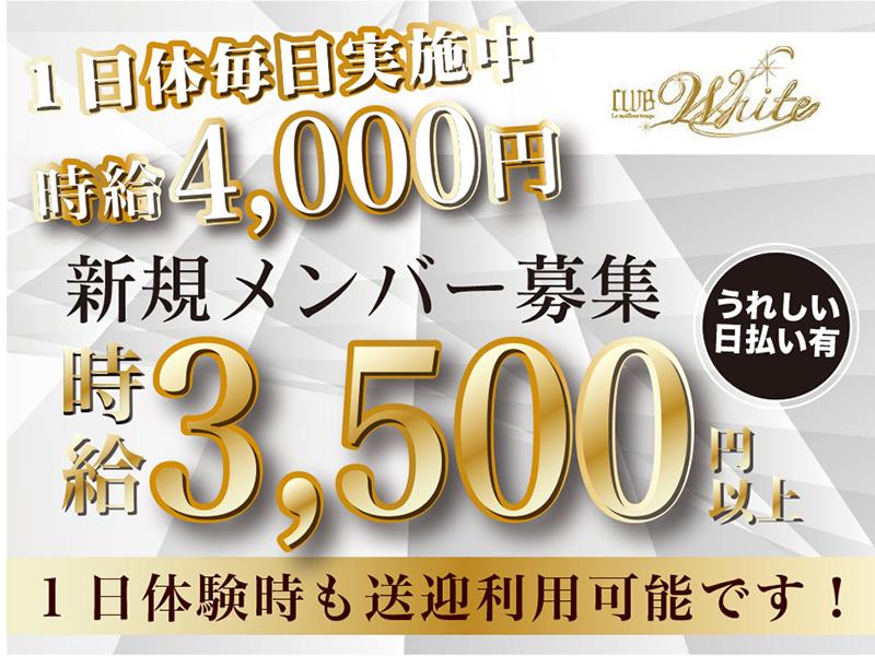 CLUB White(クラブホワイト)のアルバイト・バイト求人情報-02