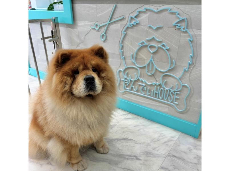 株式会社ウォルトのアルバイト・バイト求人情報-02