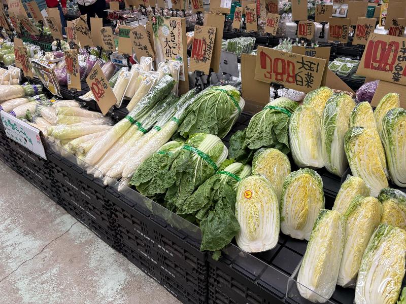 株式会社オイシルの求人・転職情報