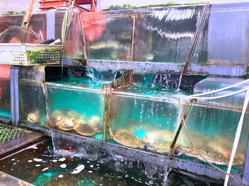 株式会社岡田生魚店のアルバイト・バイト求人情報-02