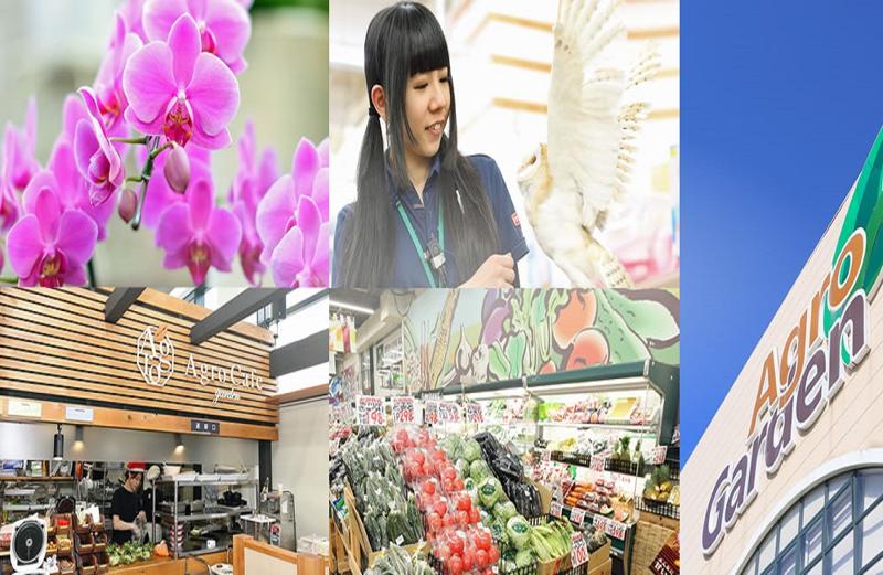 株式会社ホームセンターアグロ　本部のアルバイト・バイト求人情報-02