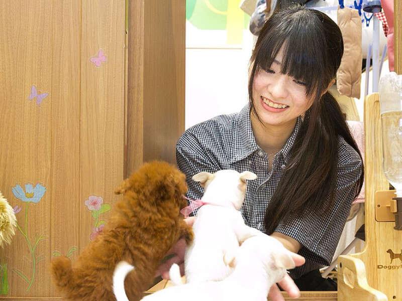 ワンニャンハウス株式会社のアルバイト・バイト求人情報-03