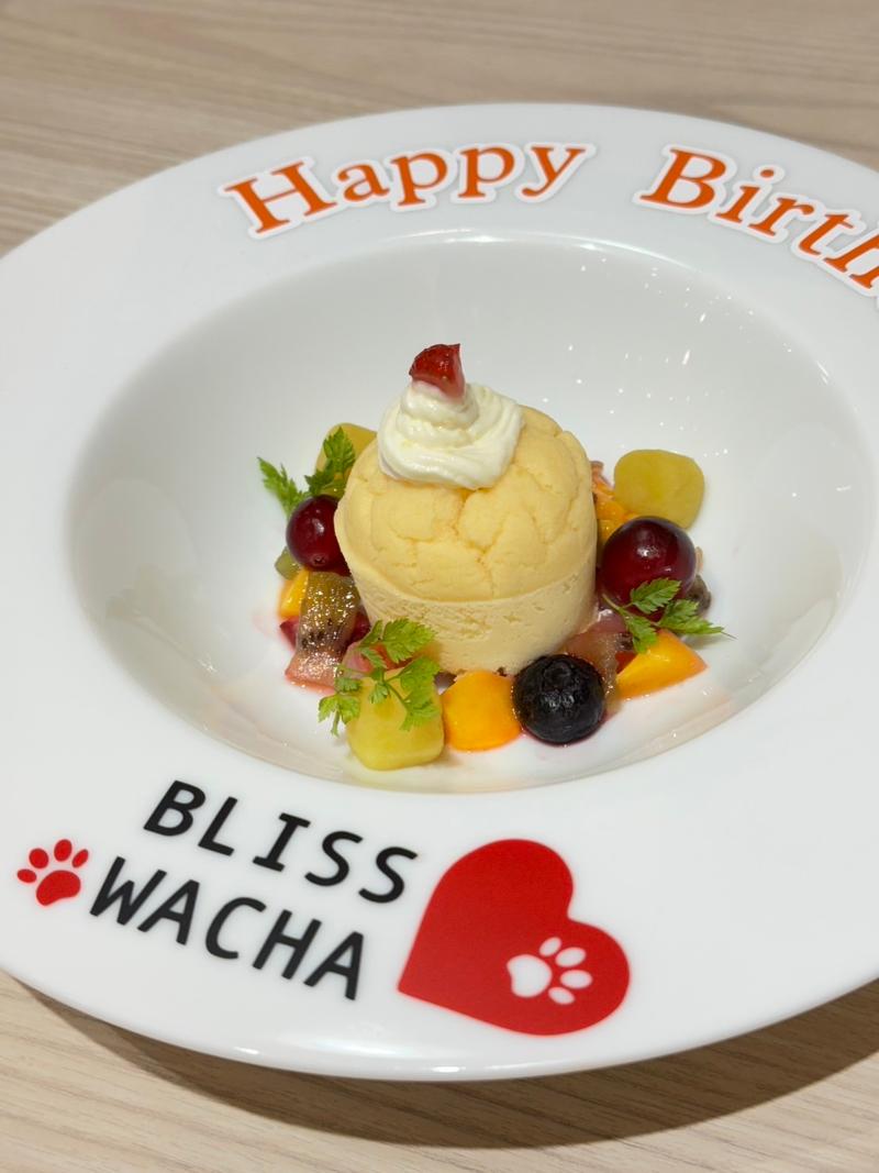Dog Cafe & Park Bliss Wacha(ドッグカフェ&パーク ブリスワチャ)のアルバイト・バイト求人情報-03