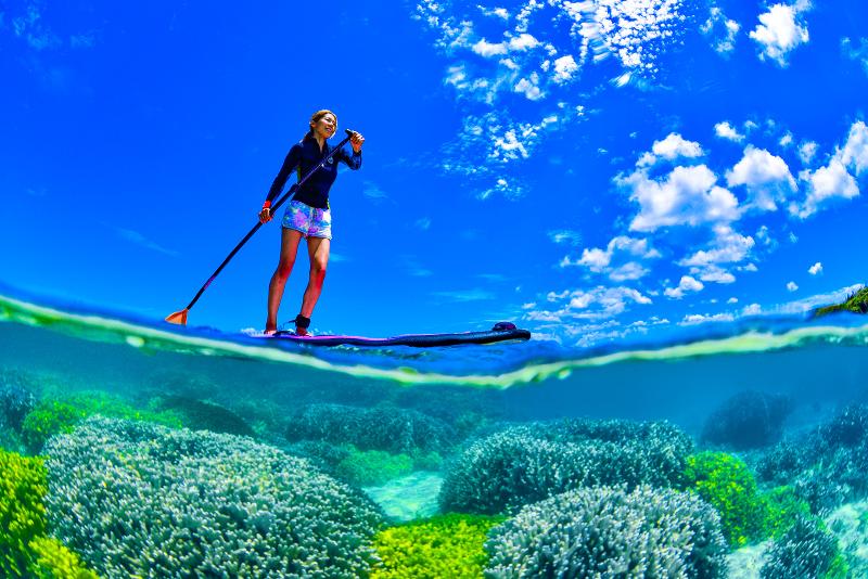 冒険島 (株式会社フライモア)のアルバイト・バイト求人情報-04