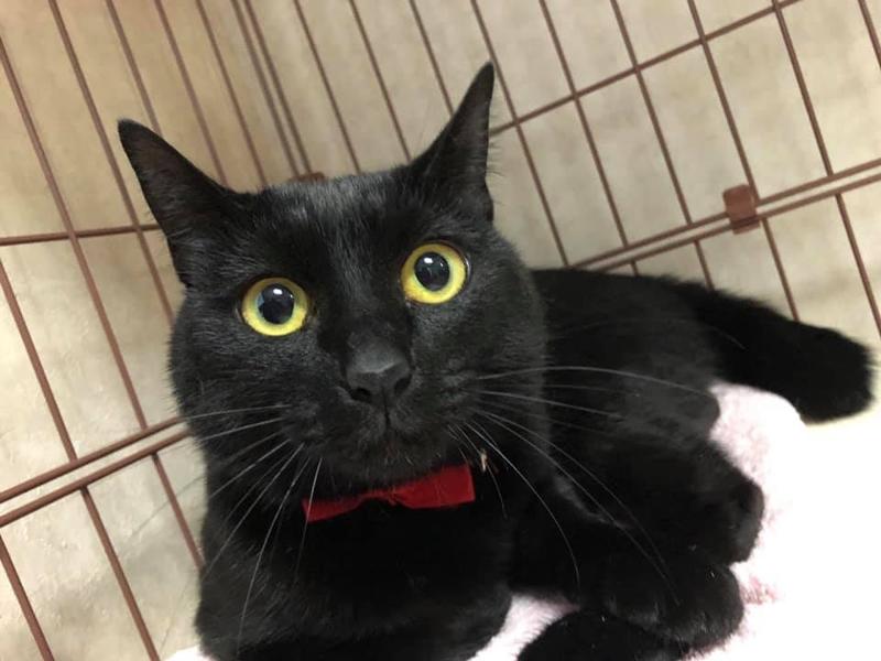 tocotoco株式会社のアルバイト・バイト求人情報-03