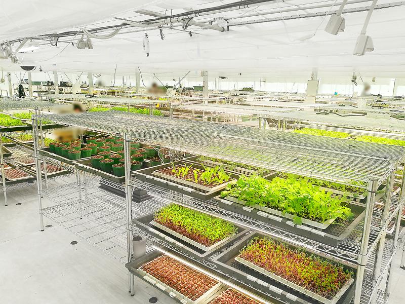 ふそう陸送株式会社のアルバイト・バイト求人情報-02