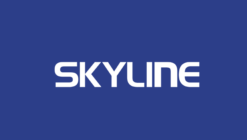 株式会社SKYLINEの求人・転職情報