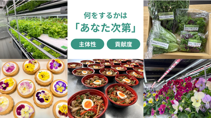 はなひらくグループのアルバイト・バイト求人情報-02