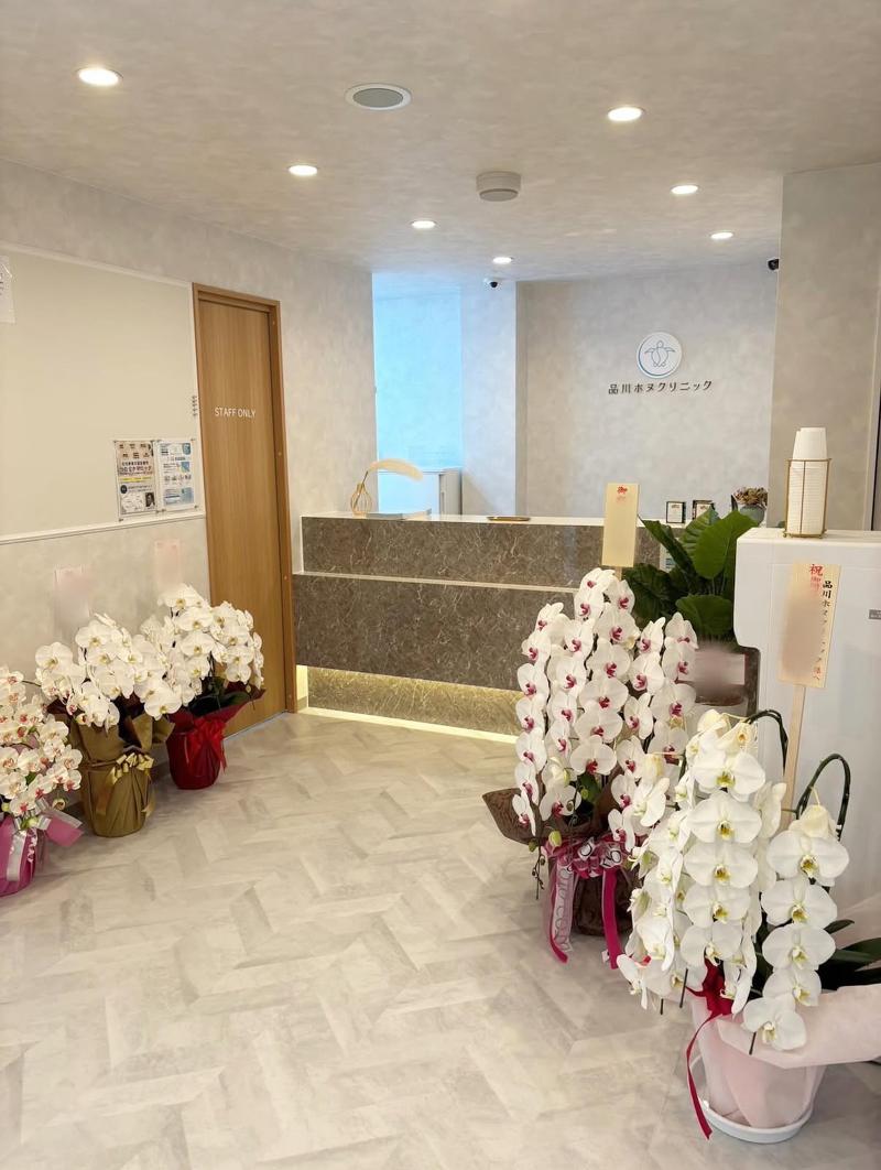 品川ホヌクリニックの派遣求人情報