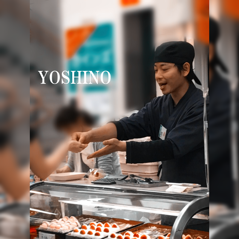 株式会社ヴェーダの求人・転職情報