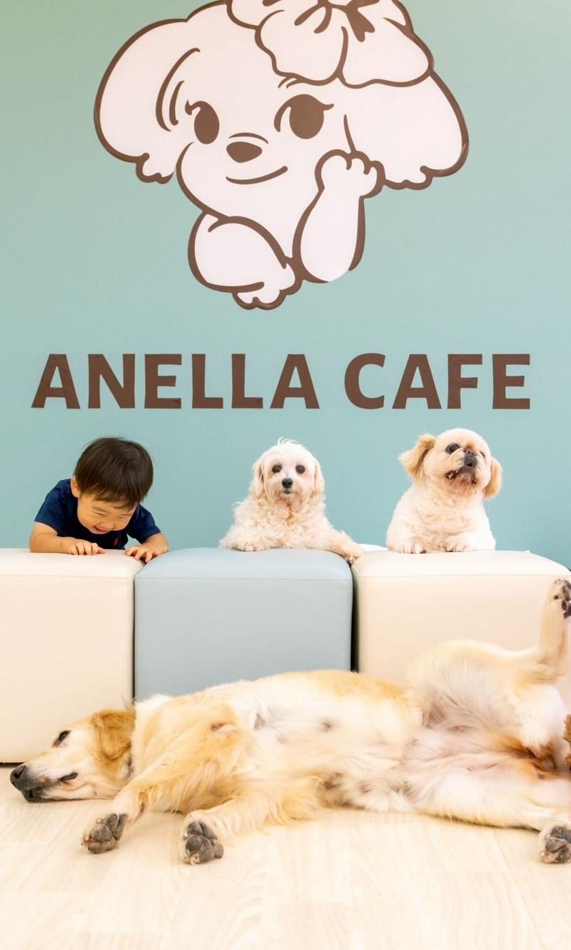 株式会社ANELLA Groupのアルバイト・バイト求人情報-03