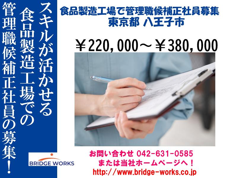 BRIDGE WORKS(ブリッジワークス)株式会社の求人・転職情報