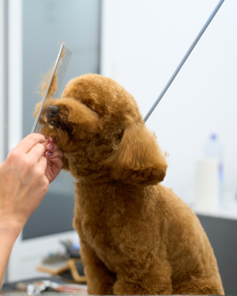 株式会社１２３-0002の求人・転職情報